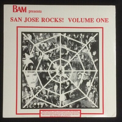 Various ‎– San Jose Rocks! Volume One