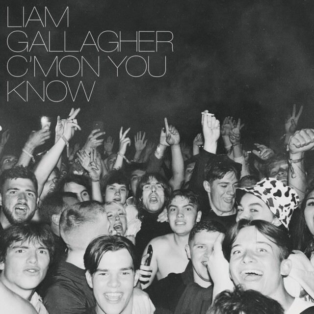 GALLAGHER,LIAM / C&#39;MON YOU KNOW (CLEAR VINYL) (I)