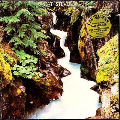 Cat Stevens – Back To Earth