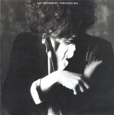 The Waterboys ‎– This Is The Sea