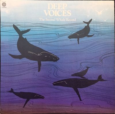 Whales – Deep Voices - The Second Whale Record Whales – Deep Voices - The Second Whale Record
