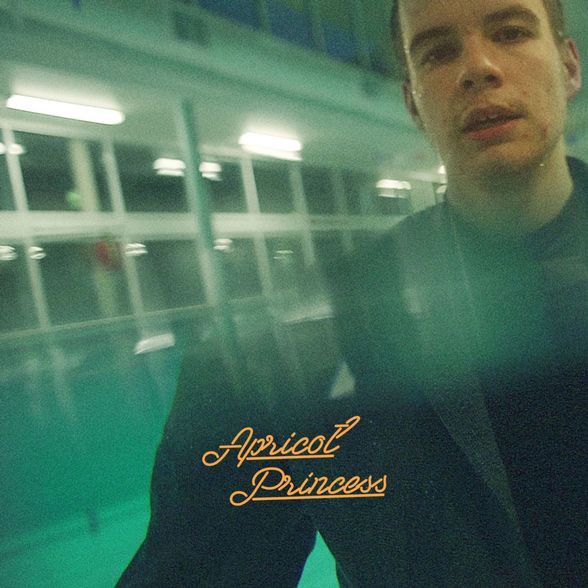 Rex Orange County – Apricot Princess