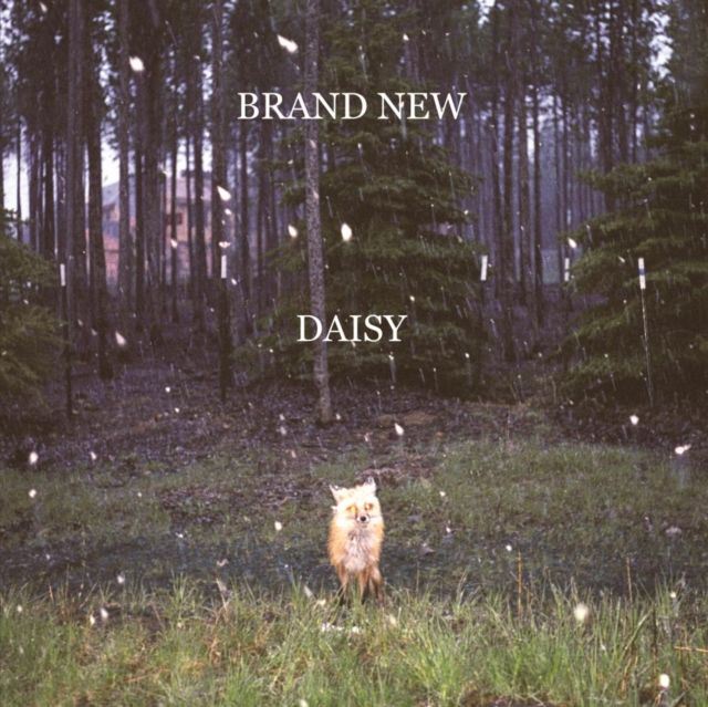 BRAND NEW / DAISY
