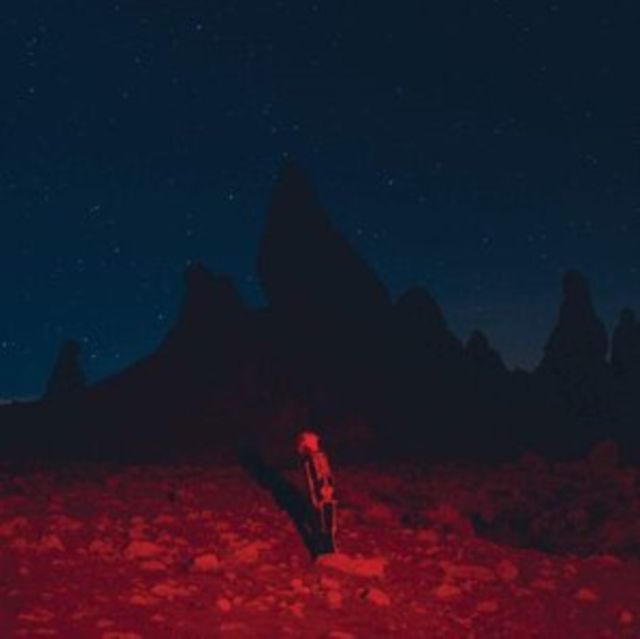 BRIDGERS,PHOEBE / PUNISHER