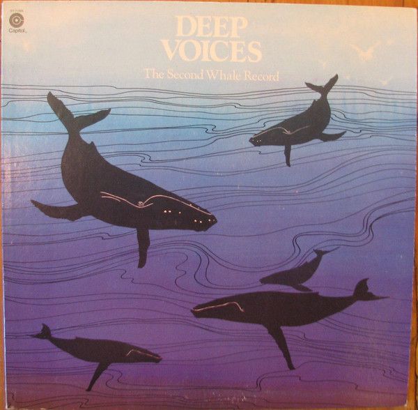 Whales – Deep Voices - The Second Whale Record