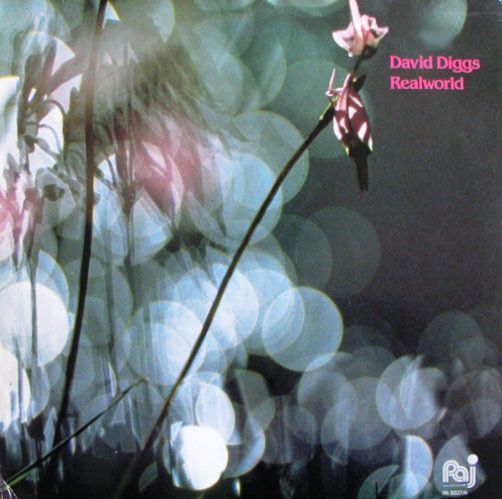 David Diggs – Realworld