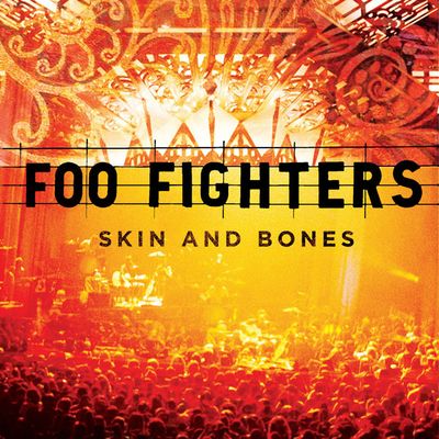 Foo Fighters – Skin And Bones