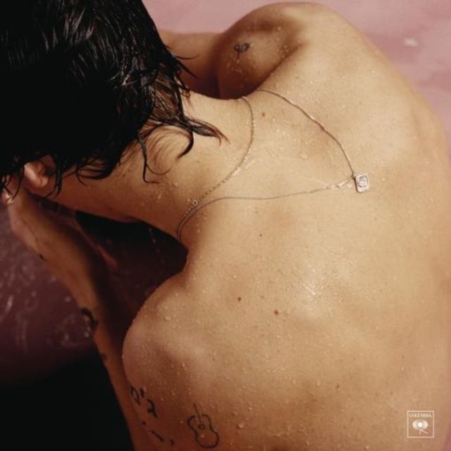 STYLES,HARRY / HARRY STYLES (180G/GATEFOLD)