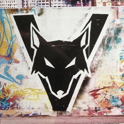 Volumes  ‎– Different Animals