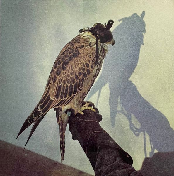 Iceage – You're Nothing Iceage – You're Nothing
