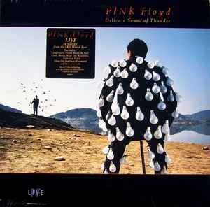 Pink Floyd – Delicate Sound Of Thunder Pink Floyd – Delicate Sound Of Thunder