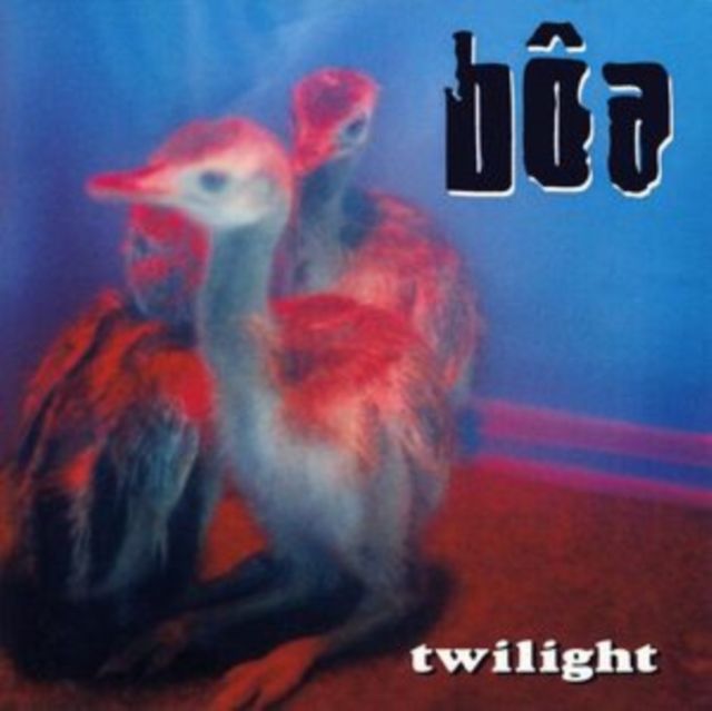 BOA / TWILIGHT BOA / TWILIGHT