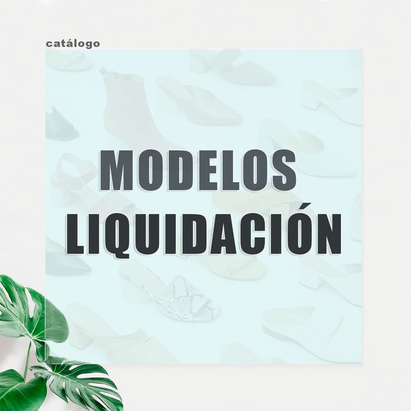 Modelos en Liquidación