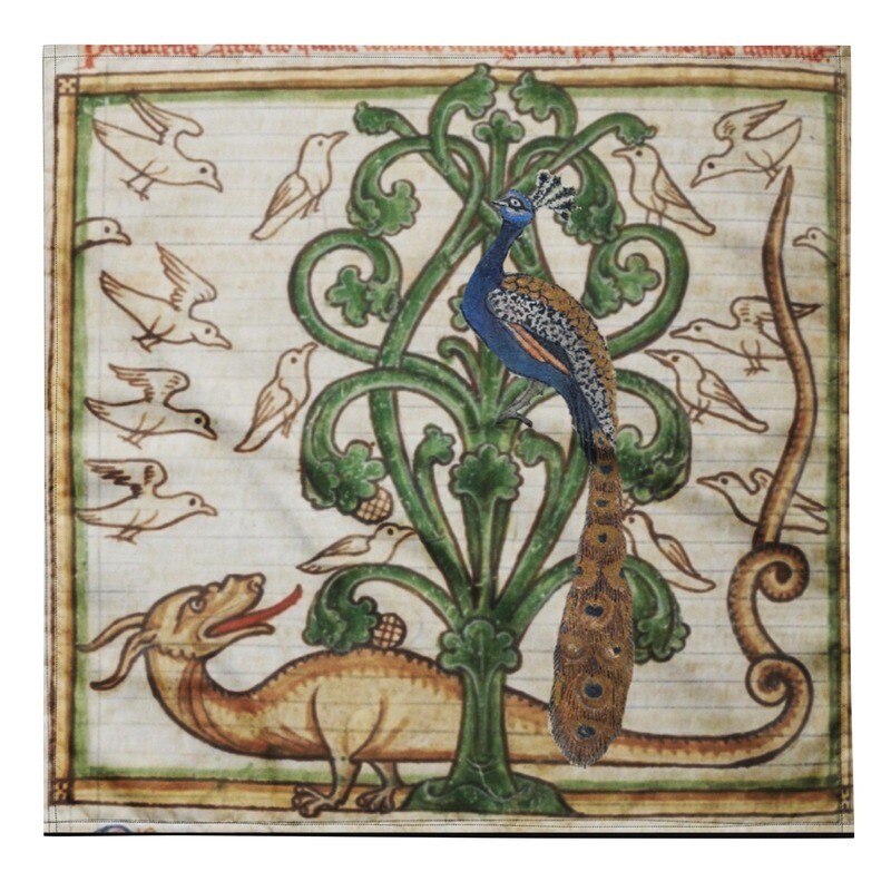 Tarot Cloth Serpent and Peacock