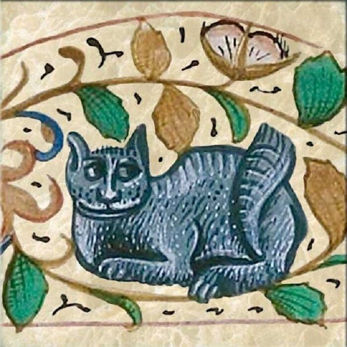 Feline Report