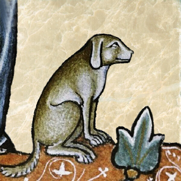 Canine Report