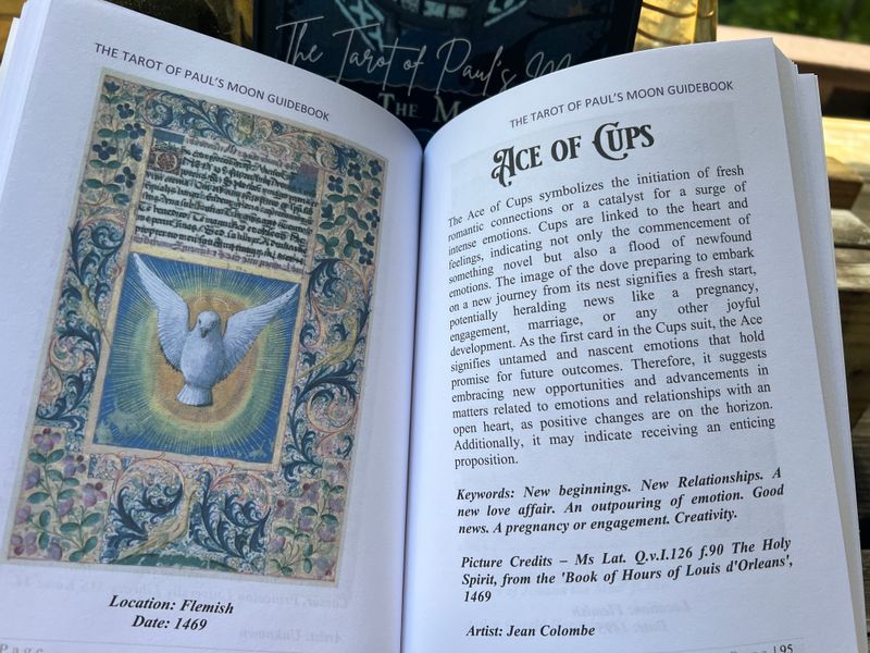 Paperback The Tarot of Paul's Moon Art Book