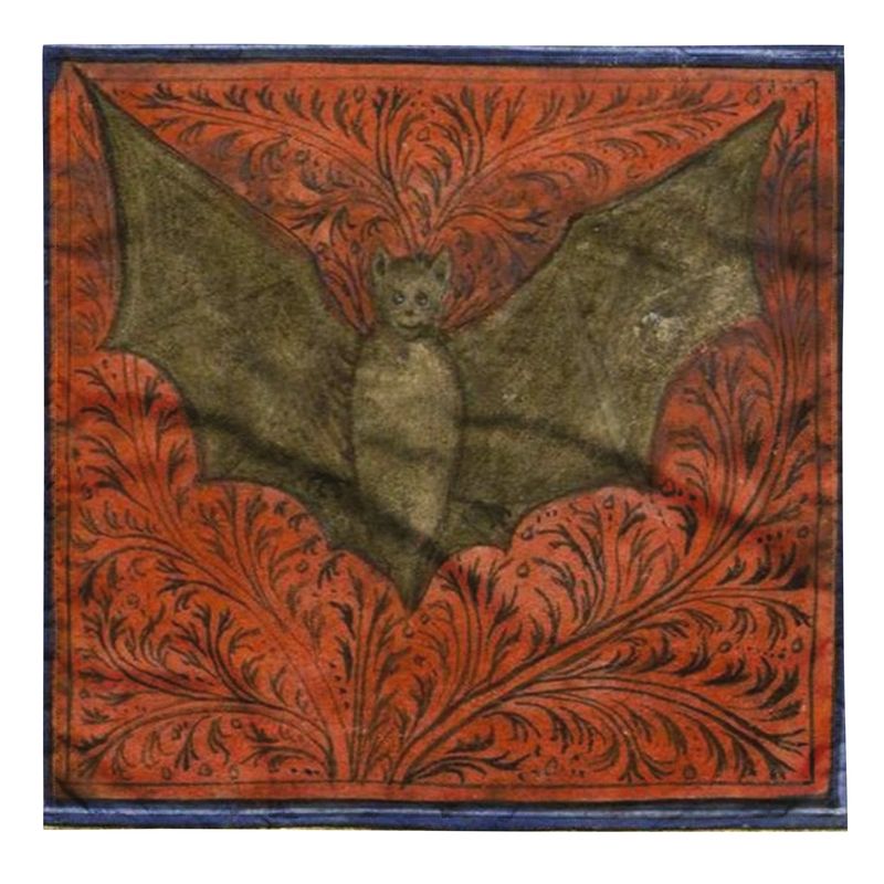 Tarot Cloth Bat 2