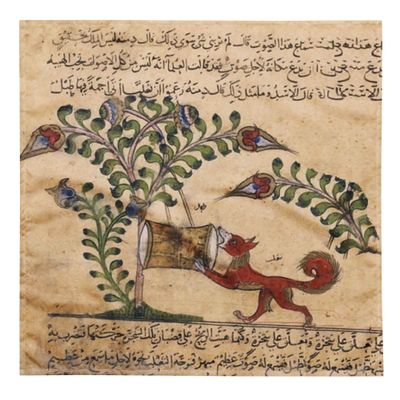 Tarot Cloth - Lenormand Fox