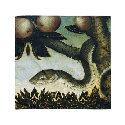Reading Cloth Lenormand Snake