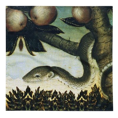 Reading Cloth Lenormand Snake