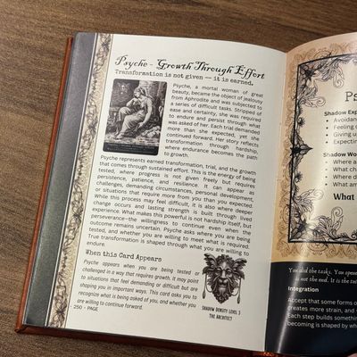 The Demon Inside Hardcover Book