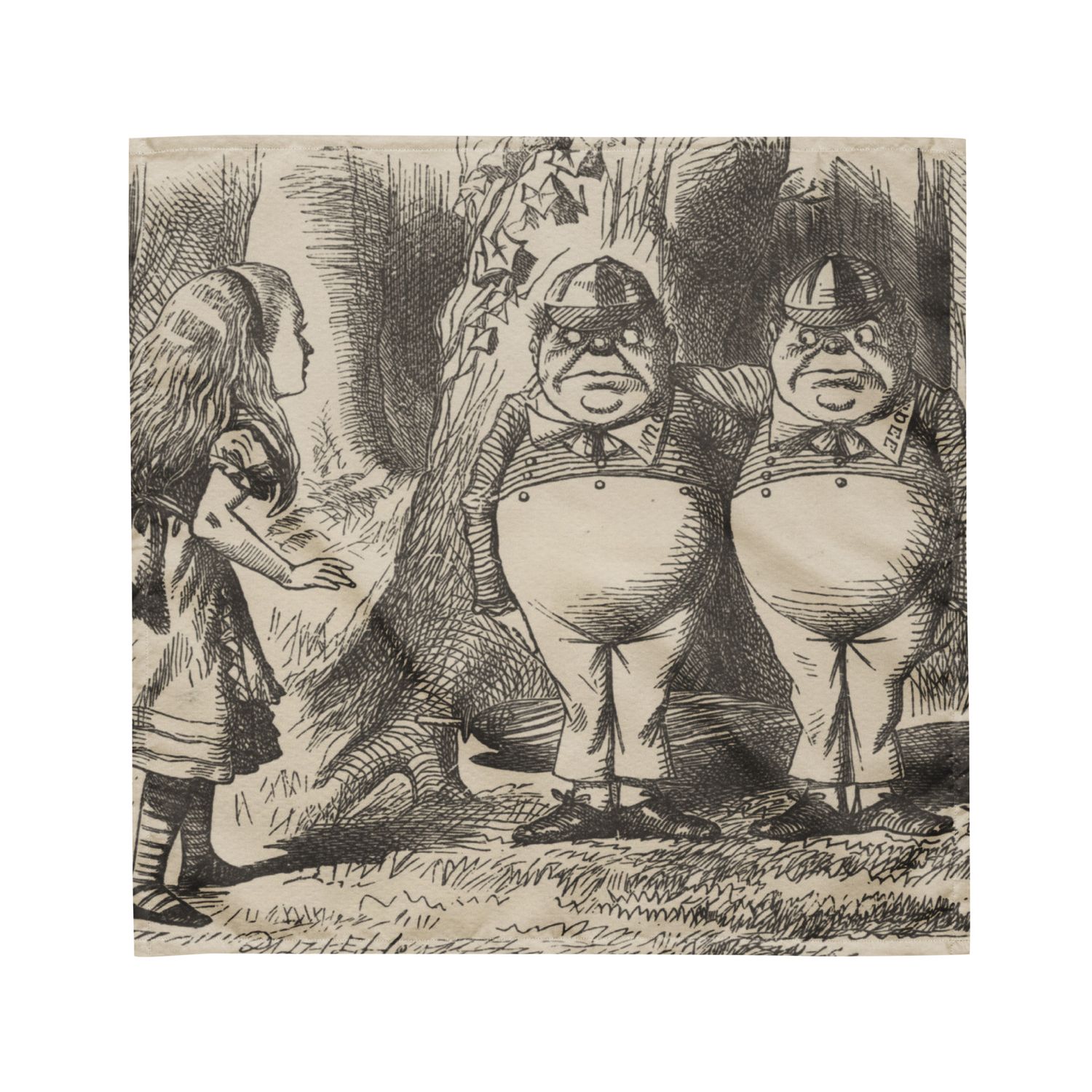 Reading Cloth - Asteroid Tweedledum &amp; Tweedledee