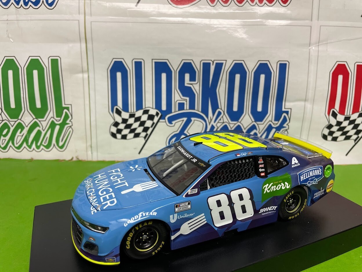 Dale Earnhardt Jr #88 Fight for Hunger IRacing 2021 Lionel 1:24 Scale