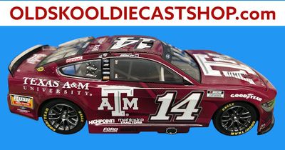 Kyle Busch #8 Rebel Bourbon 2025 Nascar Cup 1:24 scale