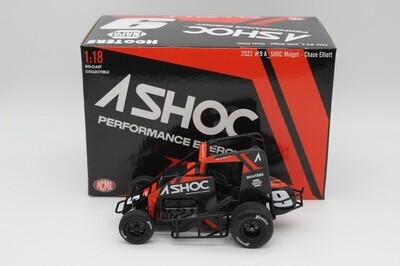 Chase Elliott #9 2022 Ashoc 1:18 Midget Diecast