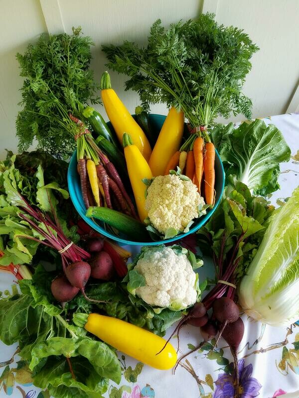 Organic Harvest Box