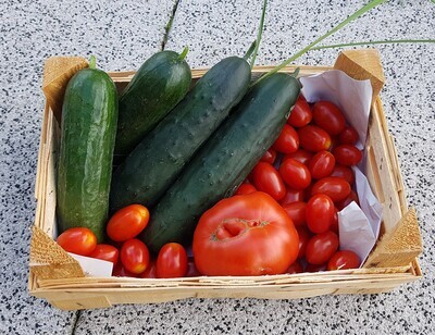 Frisches Gemüse aus der Gärtnerei