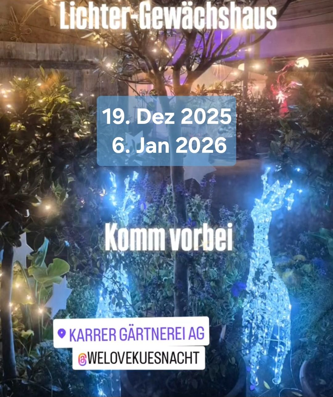 INFO nächster EVENT Kaffee im Lichter-Gewächshaus