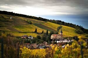 Domaine Stoeffler | Alsace | Bio