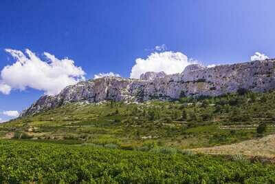 Mas d'Agly | Côtes du Roussillon Bio | disponible immédiatemment