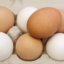 “EXTRA LARGE” Free Range Hen Eggs