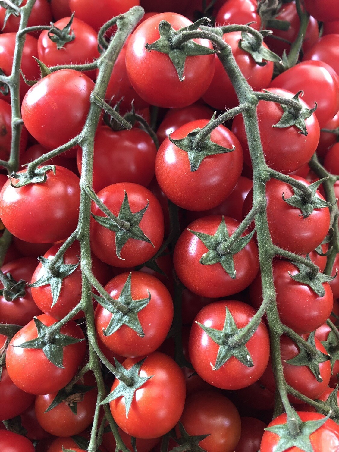 Pomodoro ciliegino  500g