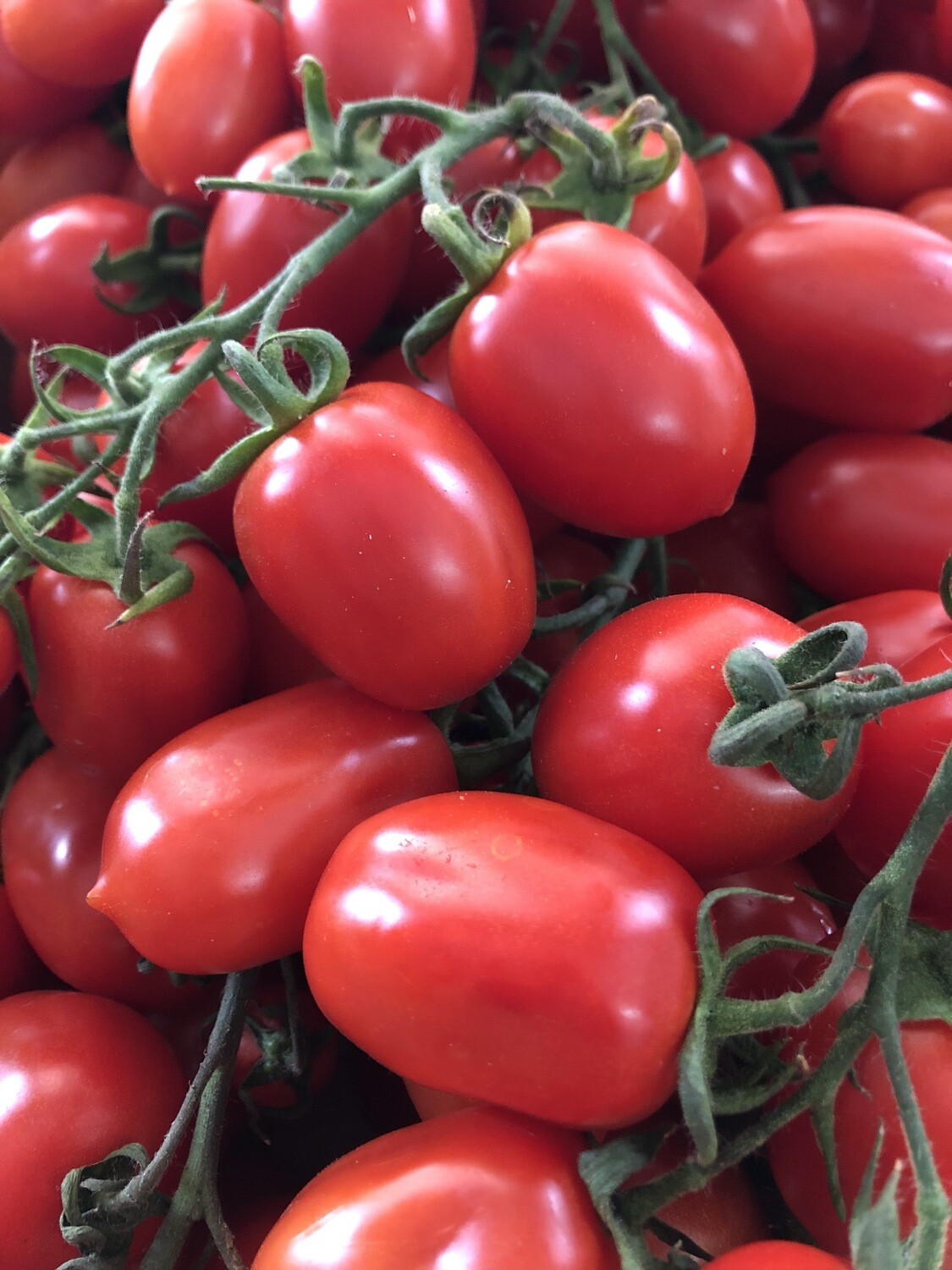 Pomodoro piccadilly 500g