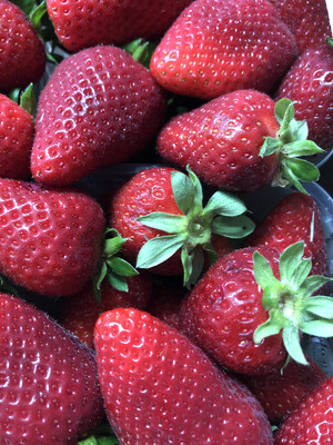 Frutta