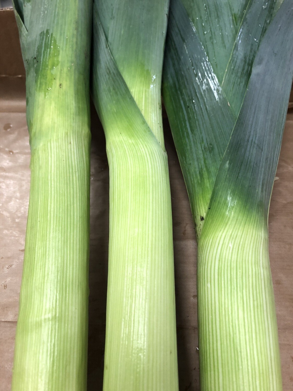 Porri 500g