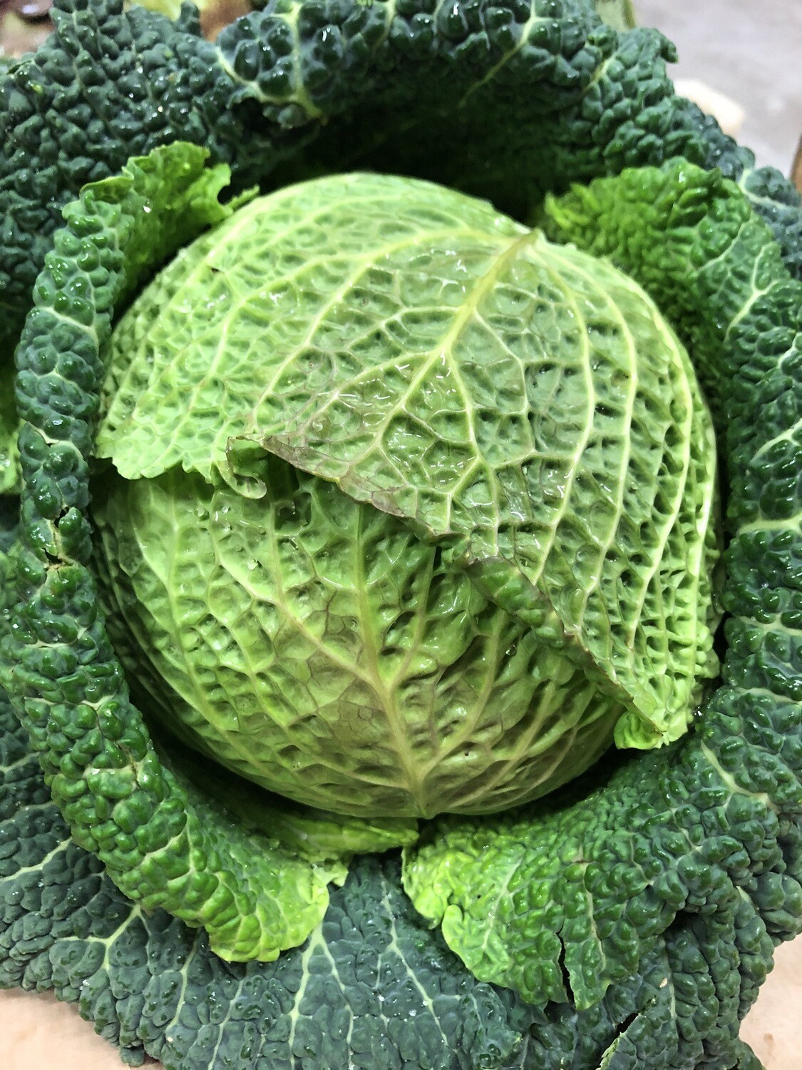Verza 1 kg