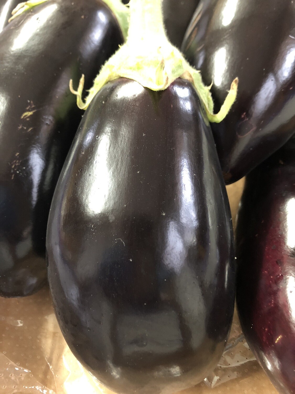 Melanzane tonde 1 kg