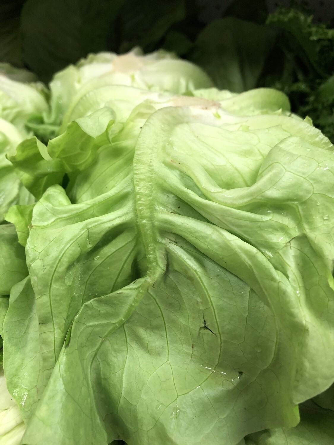 Insalata cappuccina 500g