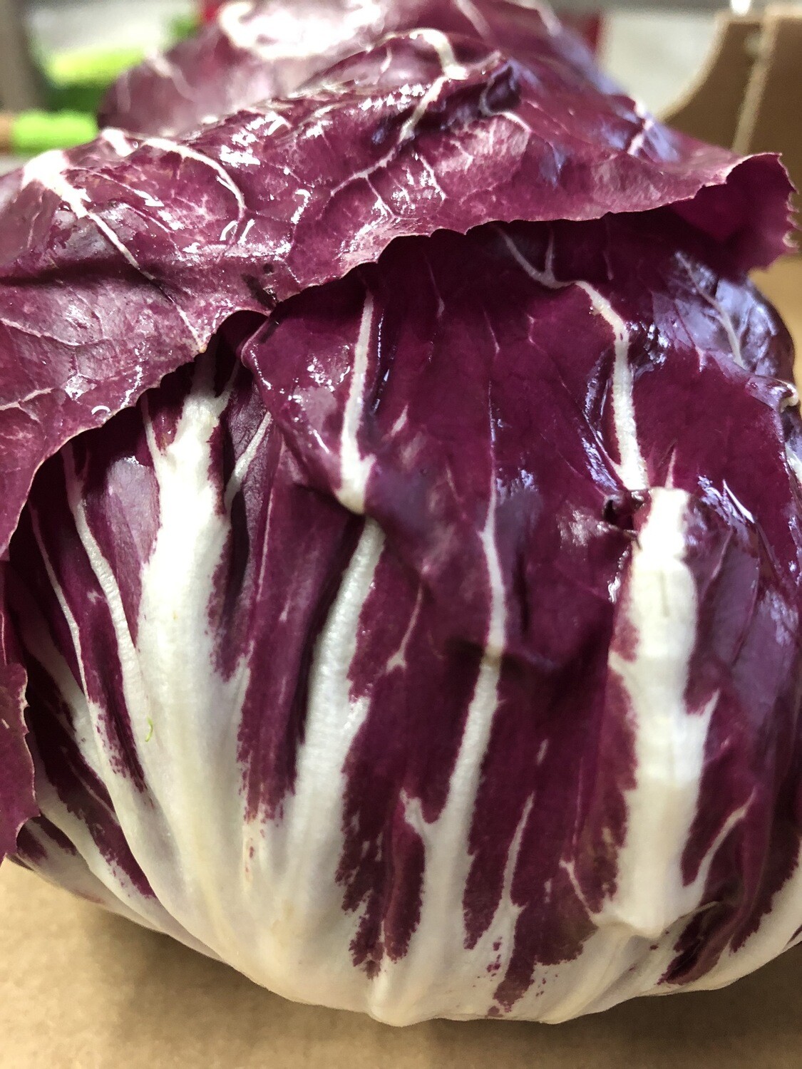 Radicchio tondo 500g