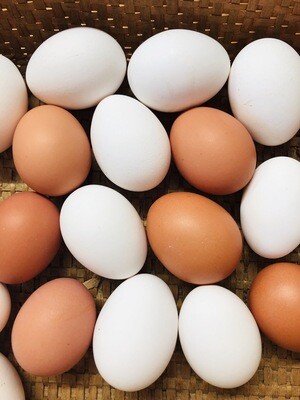 Uova fresche al pezzo