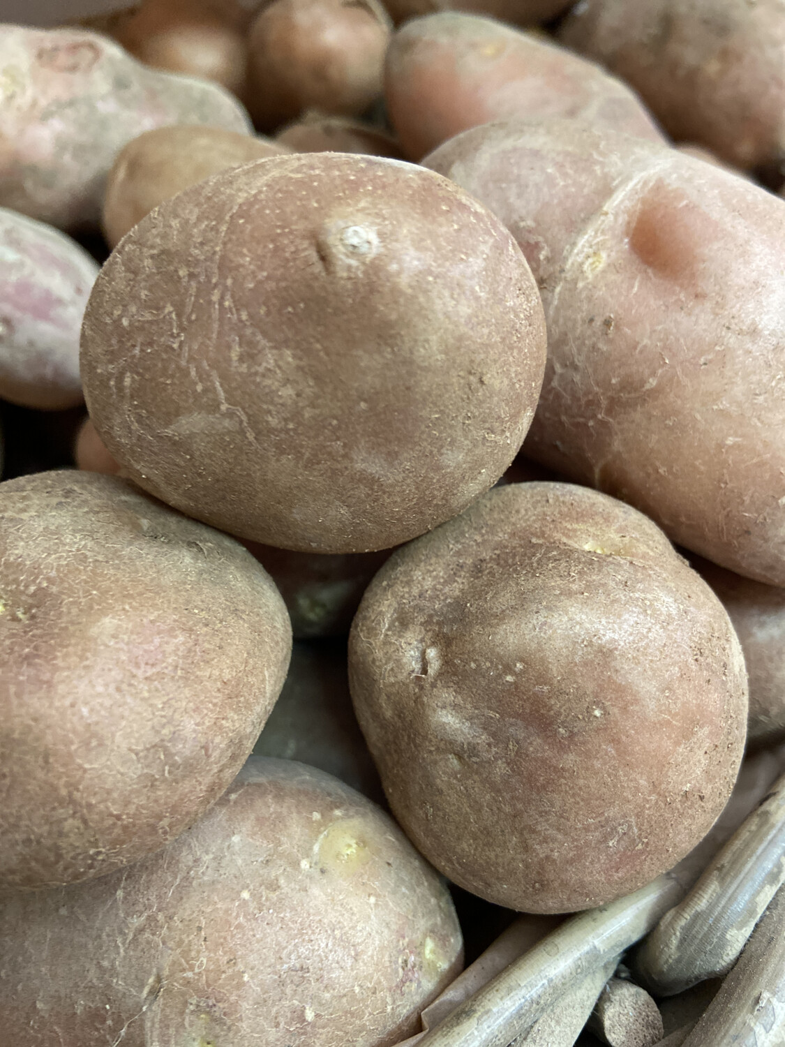 Patate Rosse 1 kg