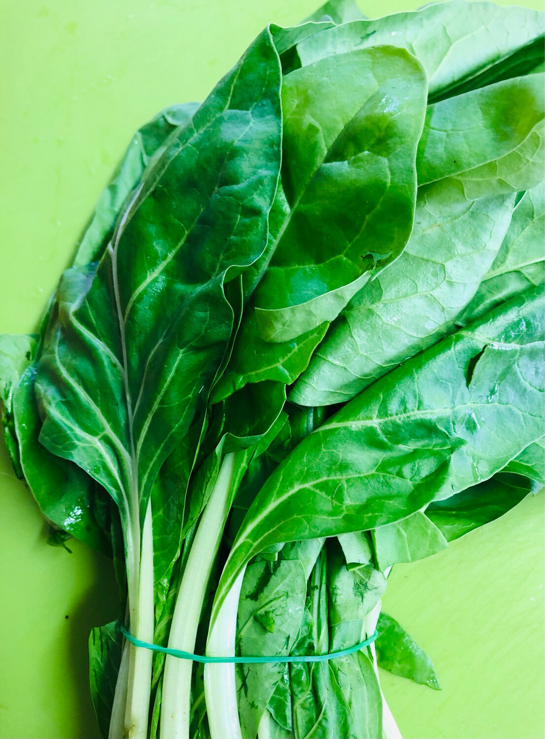 Bieta 1 kg