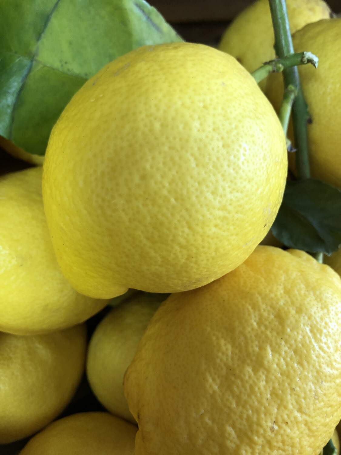 Limoni buccia edibile 500 gr