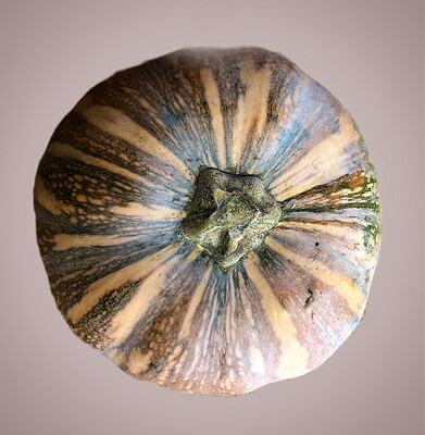 Zucca a pezzi da 1 kg