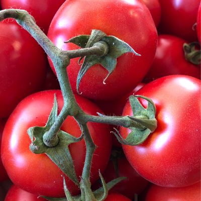 Pomodoro a grappolo 1 kg